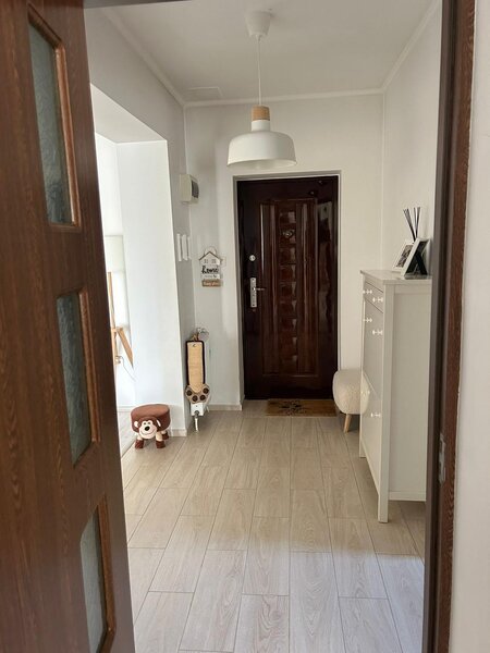 Doamna Ghica, Baicului, Electronicii,